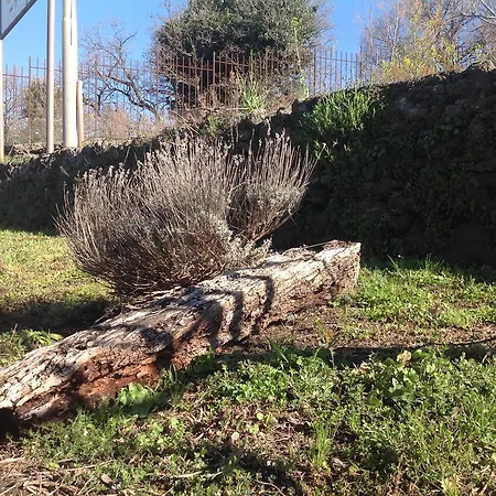 Le Cisterne Dell'etna Hotel Calcerana-Marina